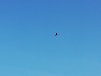 IMG_20190522_093229