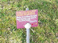 IMG_20190522_084747