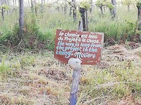 IMG_20190522_084436