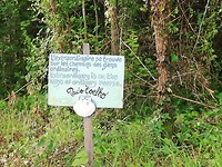 IMG_20190522_083608
