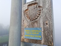 IMG_20190522_074528