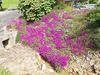 IMG_20190523_105331