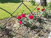 IMG_20190523_100543