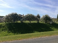 IMG_20190523_095622