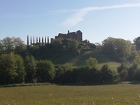 IMG_20190523_085501