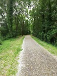 IMG_20190524_141542
