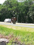 IMG_20190525_123106