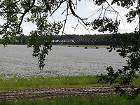 IMG_20190525_121252