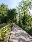 IMG_20190525_095848