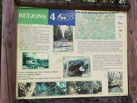 IMG_20190526_133515