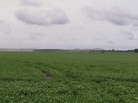 IMG_20190526_100142