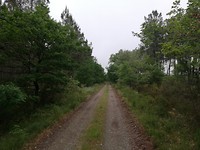 IMG_20190526_074423