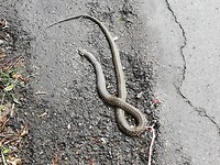 IMG_20190527_121029