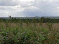 IMG_20190528_114748