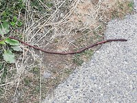 IMG_20190529_150608