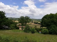 IMG_20190529_141650