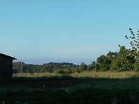 IMG_20190530_075416