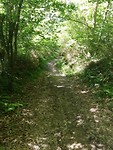 IMG_20190531_110312