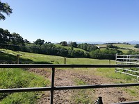 IMG_20190531_104004