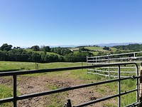 IMG_20190531_103955