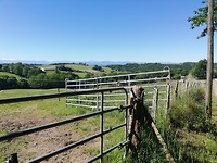 IMG_20190531_103949_1