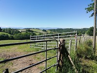 IMG_20190531_103949