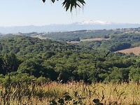 IMG_20190531_091122