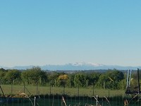 IMG_20190531_073820