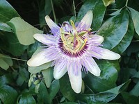 IMG_20190530_204235