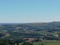 IMG_20190601_121211