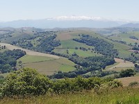 IMG_20190601_121205