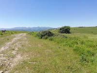 IMG_20190601_120209