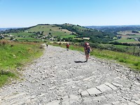 IMG_20190601_115221