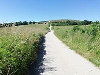 IMG_20190601_113825