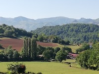 IMG_20190602_094622