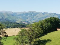 IMG_20190602_094610