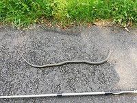IMG_20190603_115031