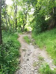 IMG_20190608_161425
