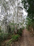 IMG_20190609_100046