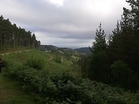 IMG_20190609_091303