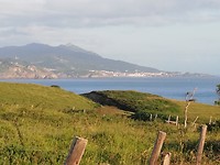 IMG_20190613_073358