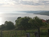 IMG_20190619_082020