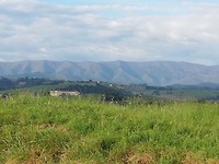 IMG_20190619_082009
