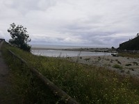 IMG_20190620_151514