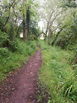 IMG_20190620_145109