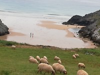 IMG_20190620_130035
