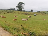 IMG_20190620_122931