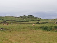 IMG_20190620_122742