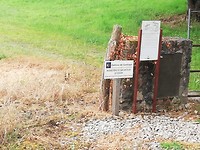 IMG_20190620_151114
