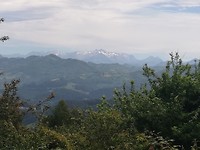 IMG_20190622_145233